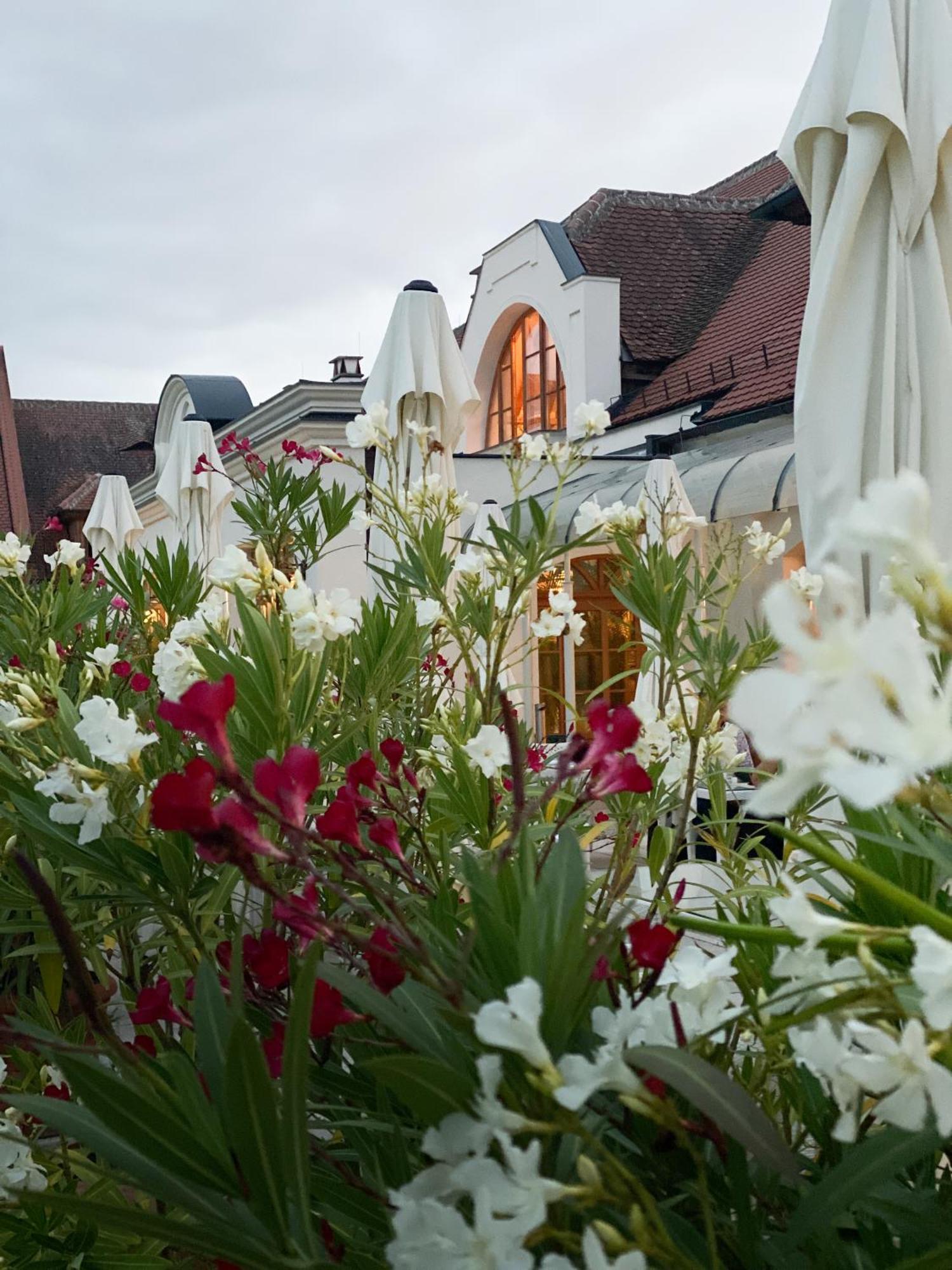 Schloss Thalheim Sankt Poelten Esterno foto